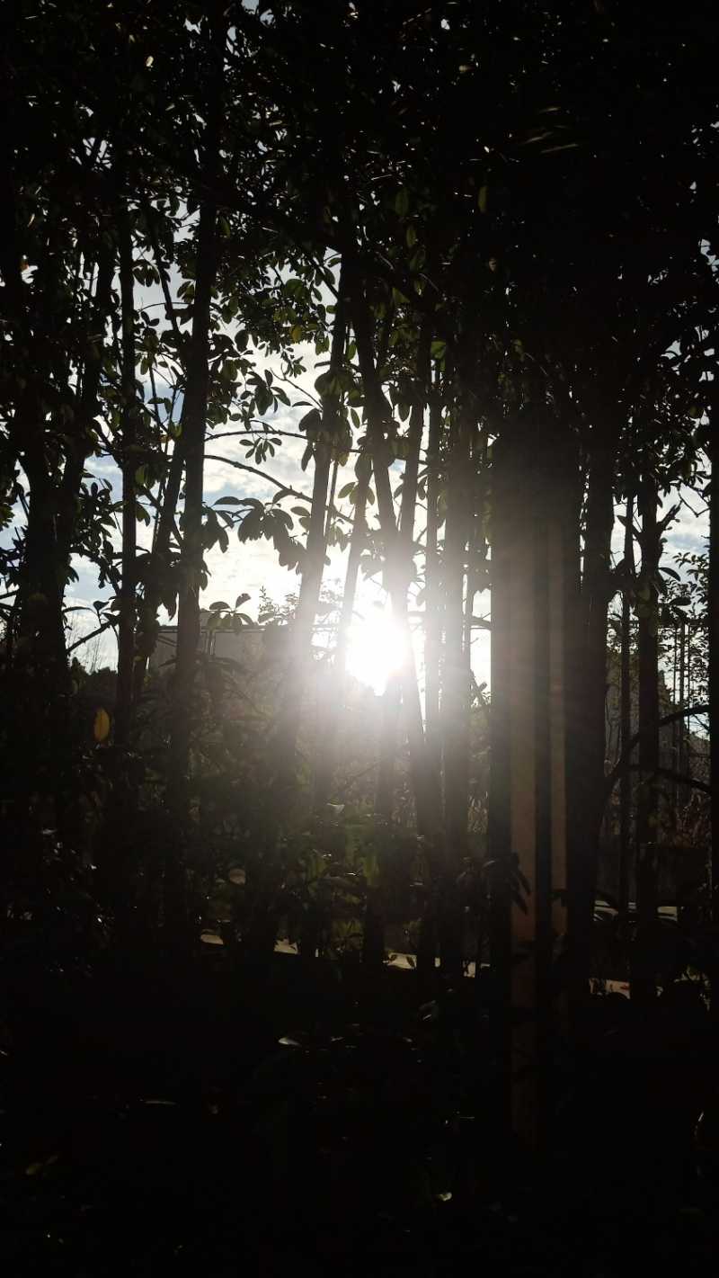IMG20230112160714.jpg
