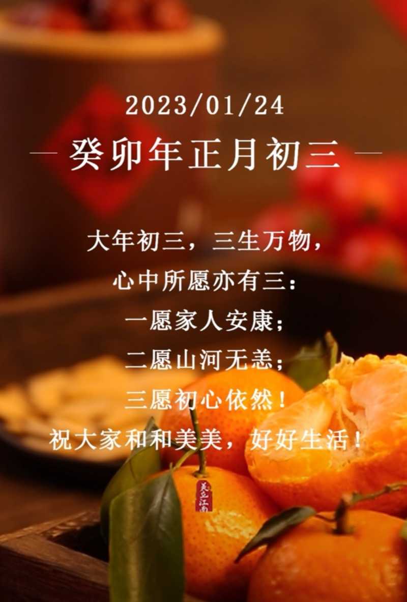 mmexport1674536545786.jpg