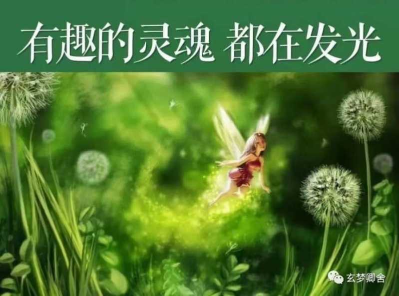 E256DB29-69F4-4427-8E79-2FDCA7117127.jpeg