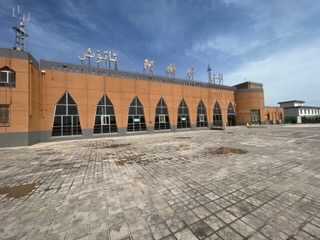 IMG_8786.jpeg