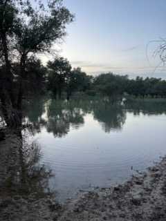 IMG_7918.jpeg