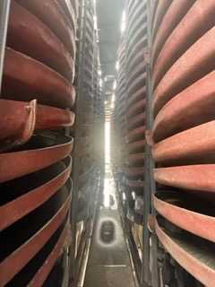 IMG_7910.jpeg