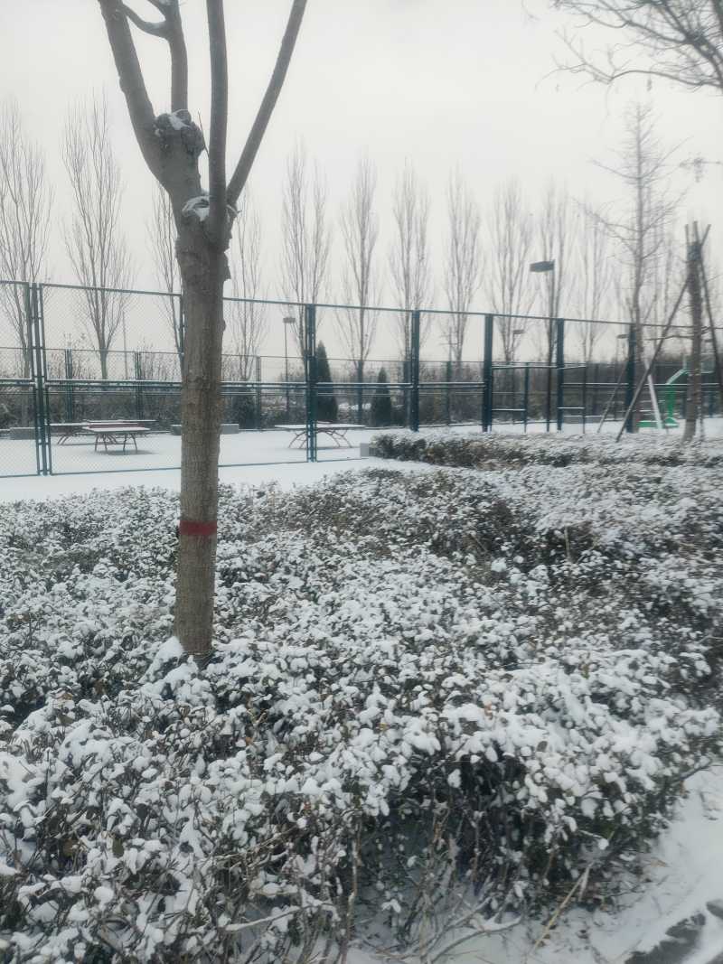 ΢��ͼƬ_20231211091526.jpg