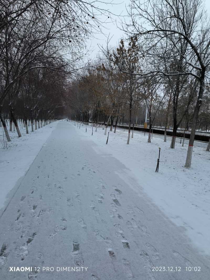 MVIMG_20231212_100237.jpg