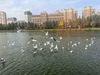IMG_0016.jpeg