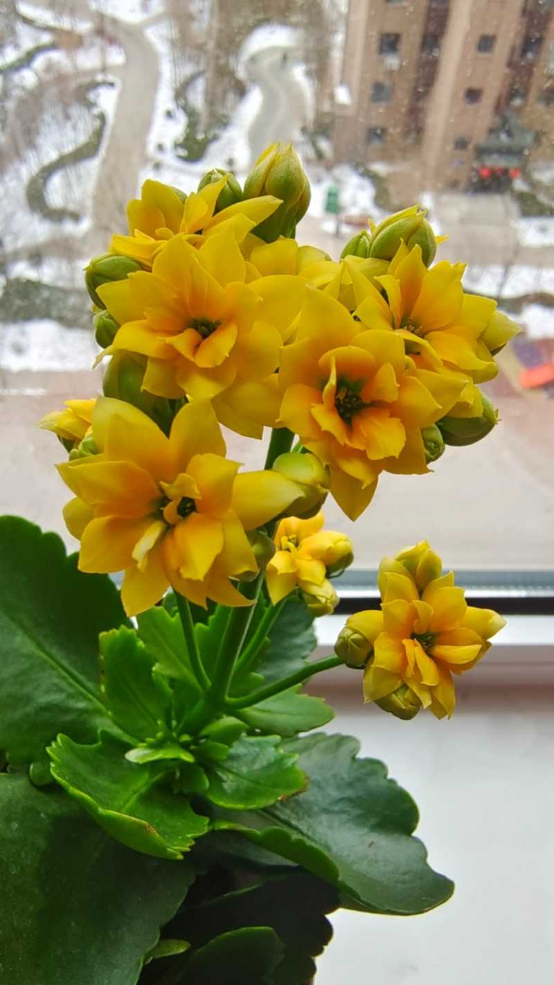 IMG_20240201_131555.jpg