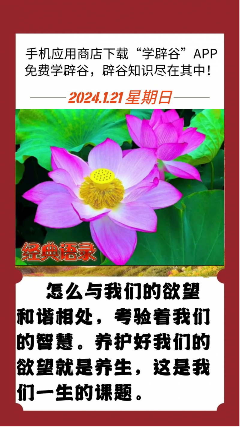 mmexport1705809914407.png