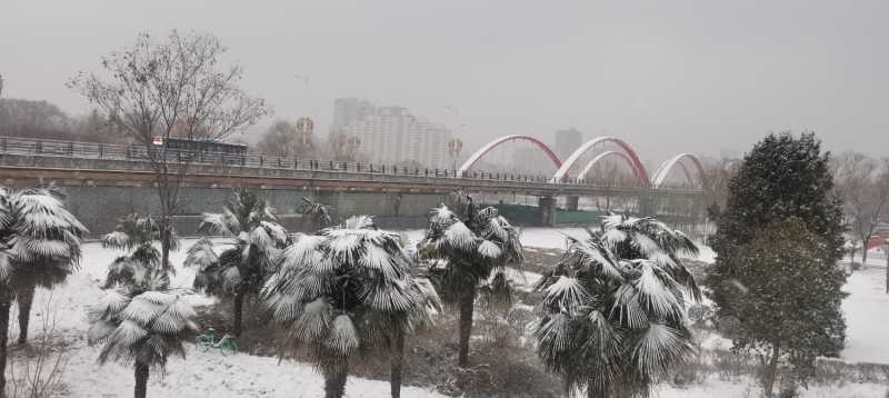 IMG_20240222_083737.jpg