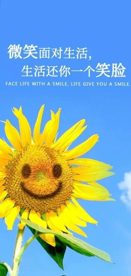 1705646020203.png
