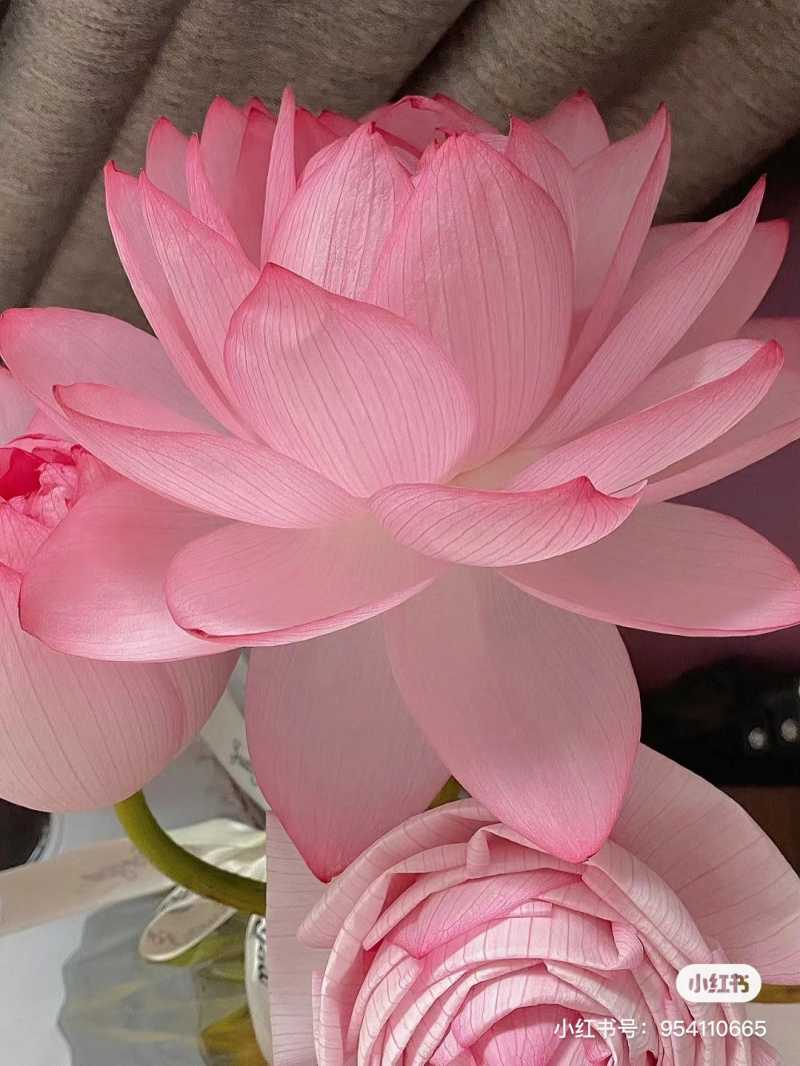 2023-09-15 171047.jpg