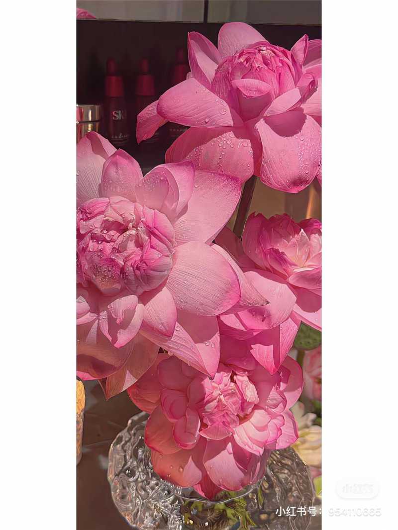 2023-09-15 165851.jpg