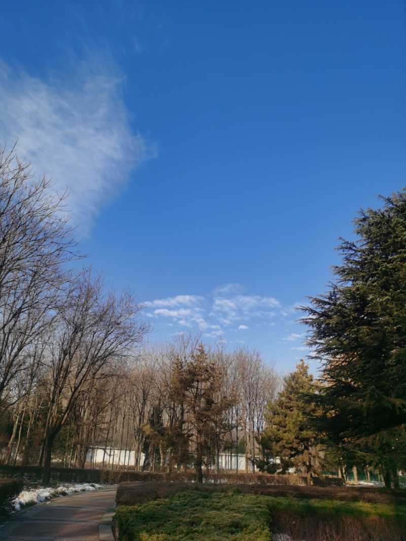 IMG_20240104_091909.jpg