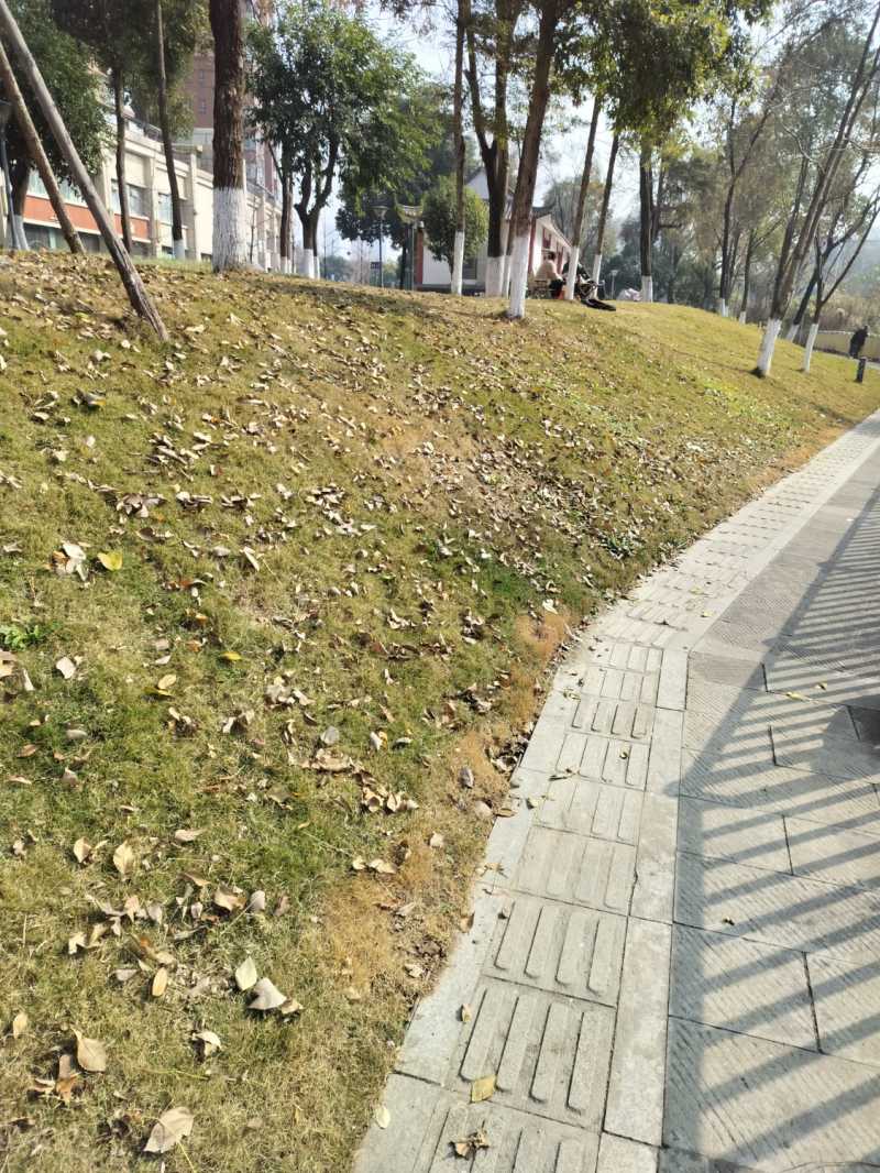 IMG20240109133922.jpg