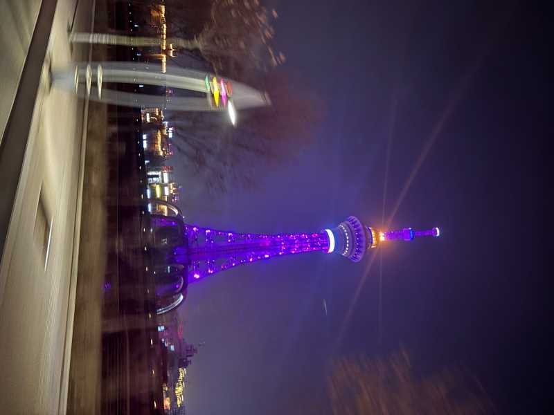 IMG_2113.jpeg