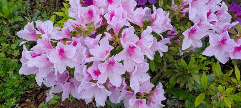 IMG_20240411_114758.jpg