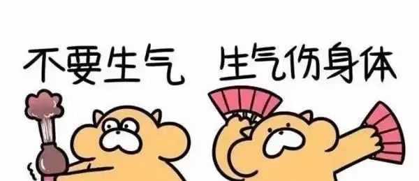IMG_3629.jpeg