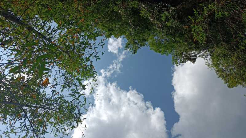 IMG_20240523_150744.jpg