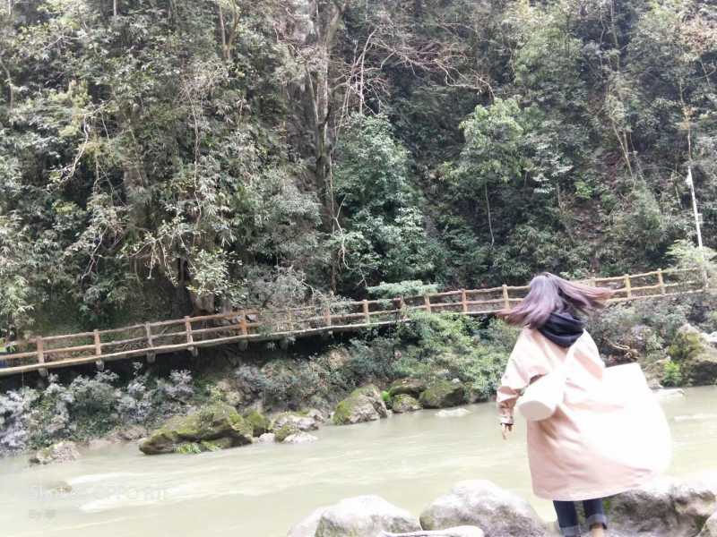Image_1722769167459.jpg