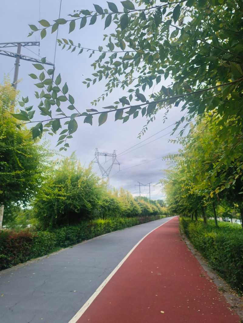 IMG20240826080027.jpg