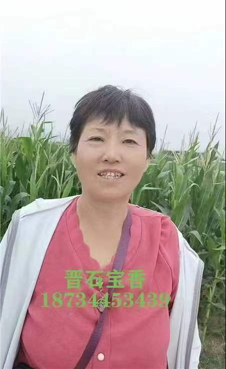 ����.png