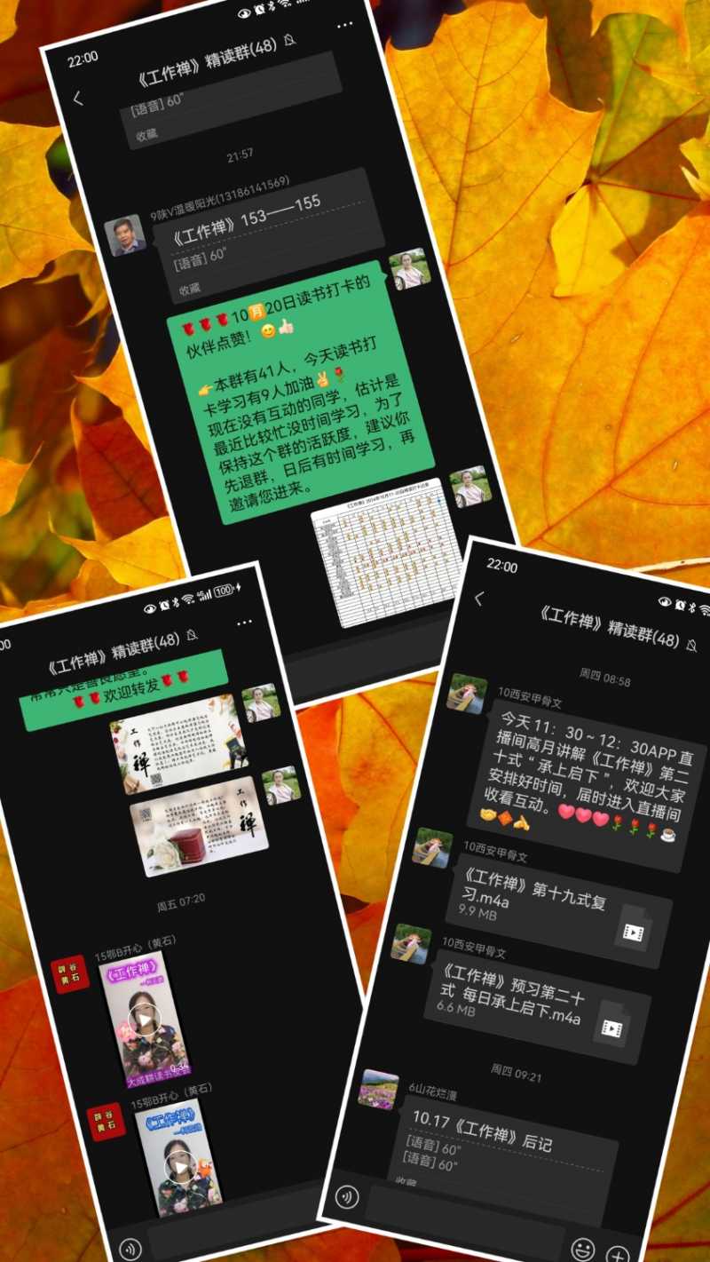 MEITU_20241020_222405440.jpg