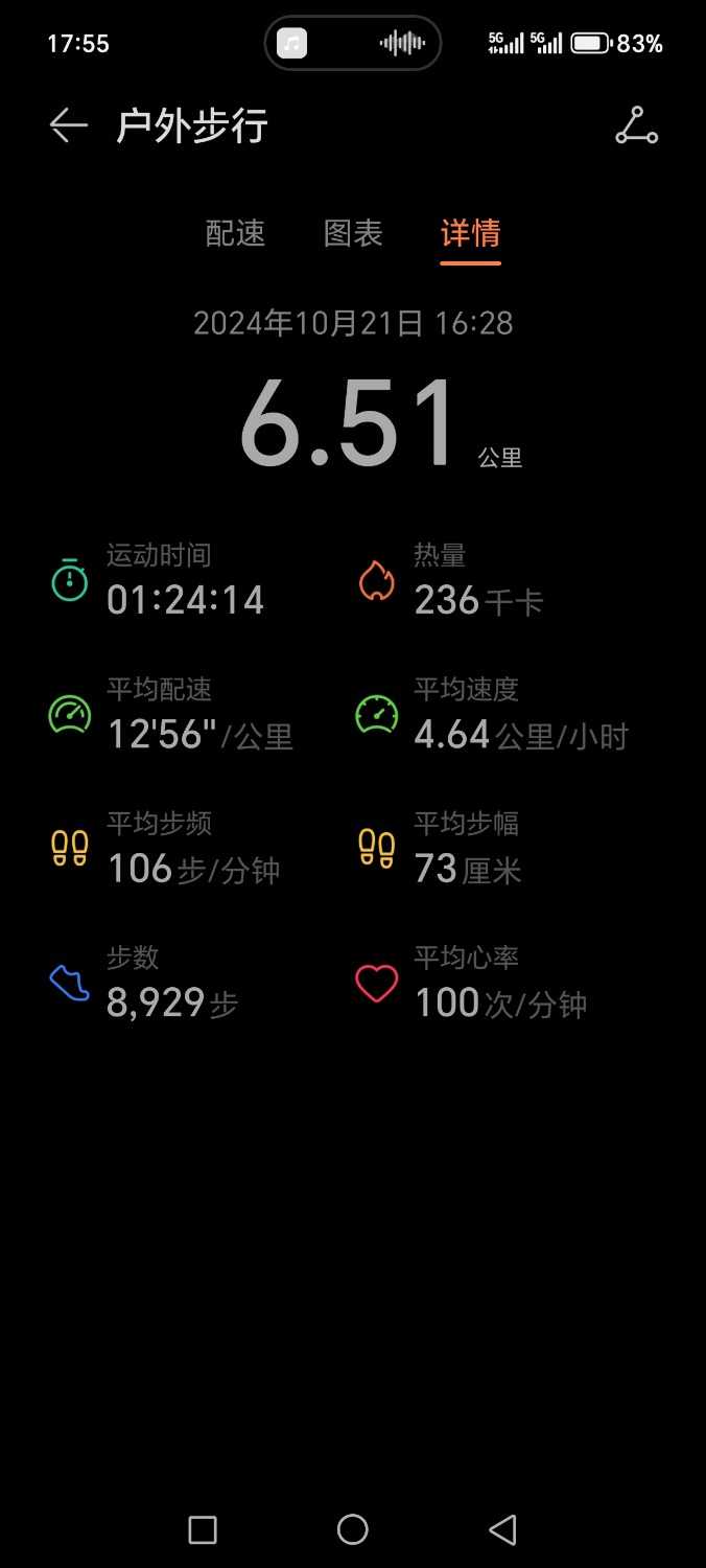 Screenshot_20241021_175552_com_huawei_health_TrackDetailActivity.jpg