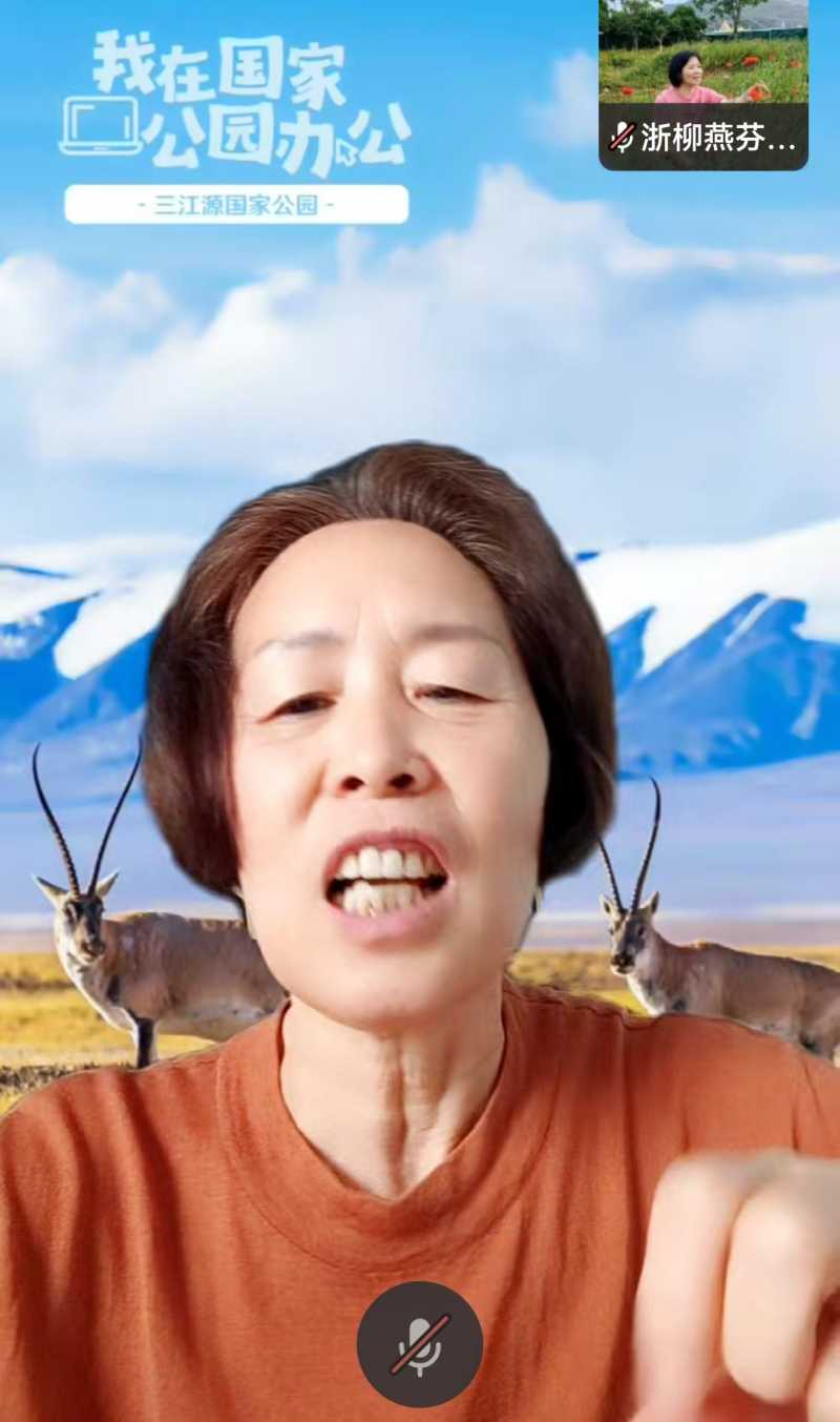 ΢��ͼƬ_20241028204455.jpg