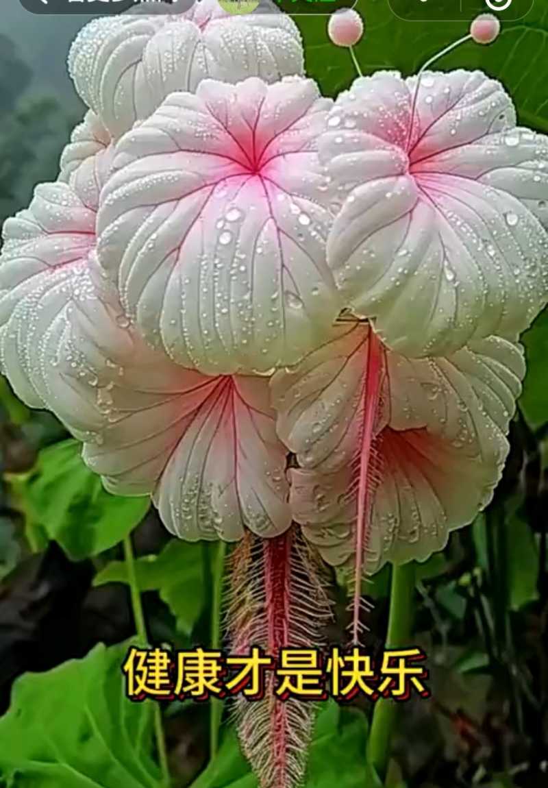 Screenshot_20241104_220413.jpg