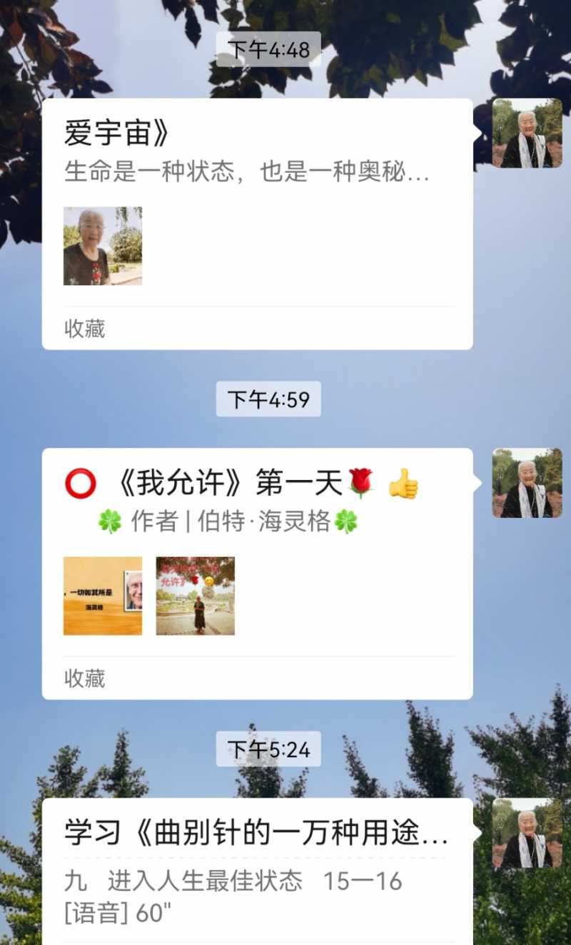 Screenshot_20241128_173237.jpg