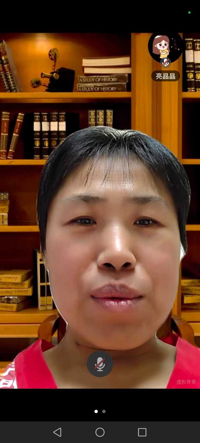 Screenshot_20241217_154628_com_tencent_wemeet_app_InMeetingActivity.jpg