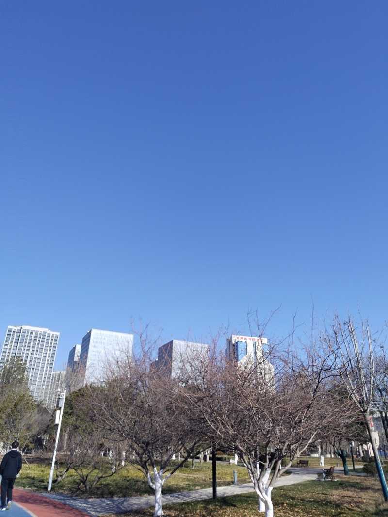 IMG_20241221_111952.jpg