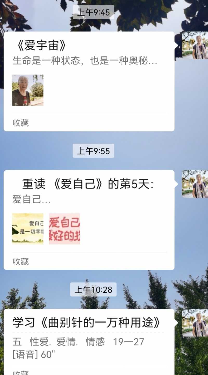 Screenshot_20241115_213234.jpg