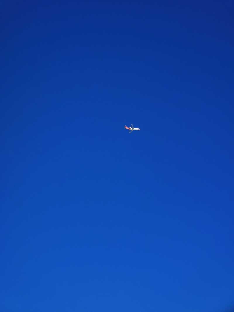 IMG_20241124_130923.jpg