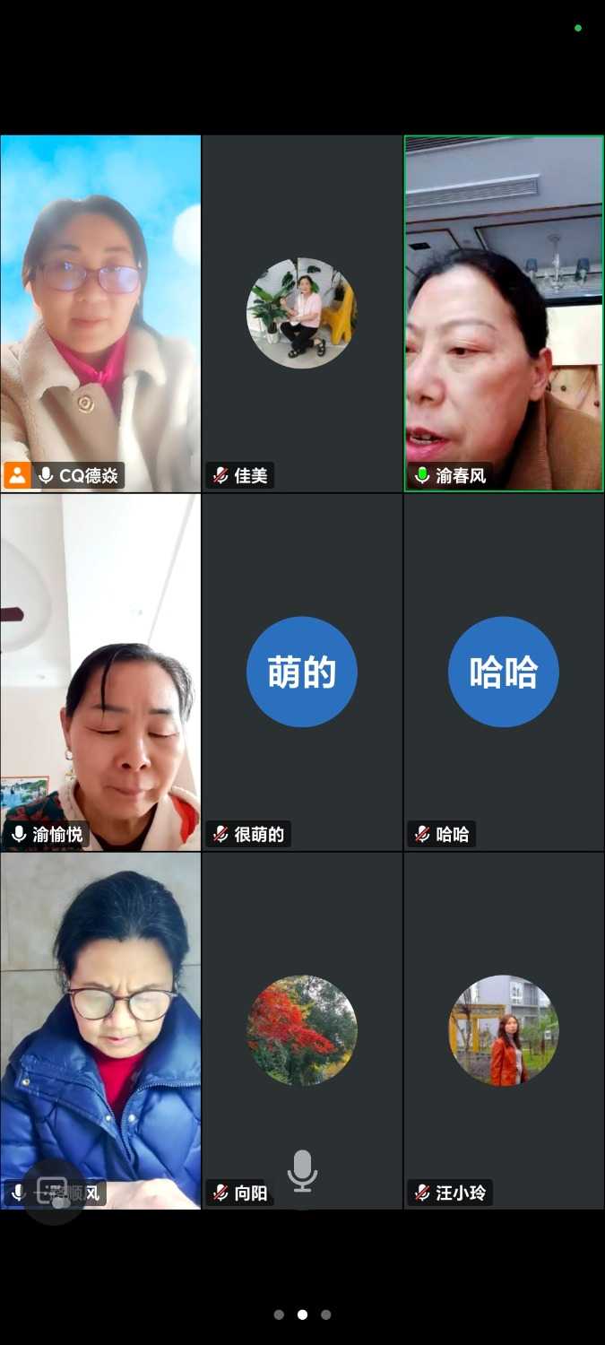 Screenshot_20250402_135039_com_tencent_wemeet_app_InMeetingActivity.jpg