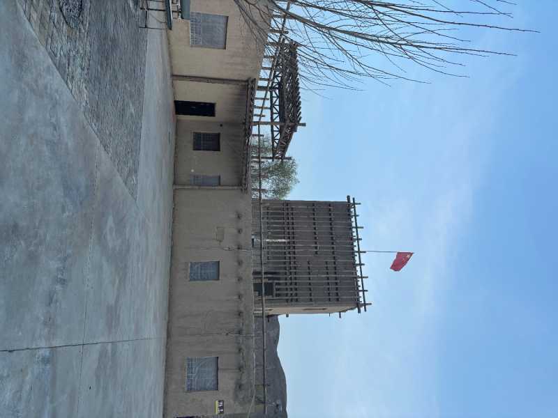 IMG_2934.jpeg