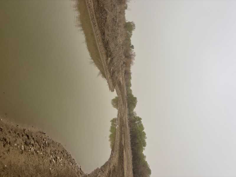 IMG_3067.jpeg
