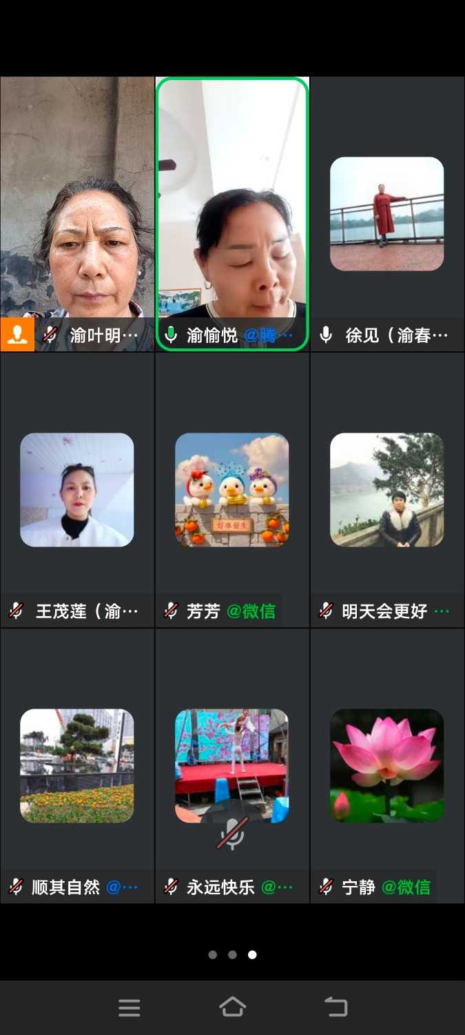 Screenshot_20250501_142919.jpg