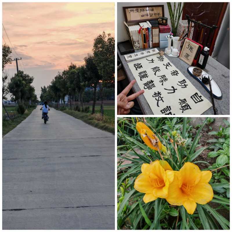Collage_20250622_220417.jpg