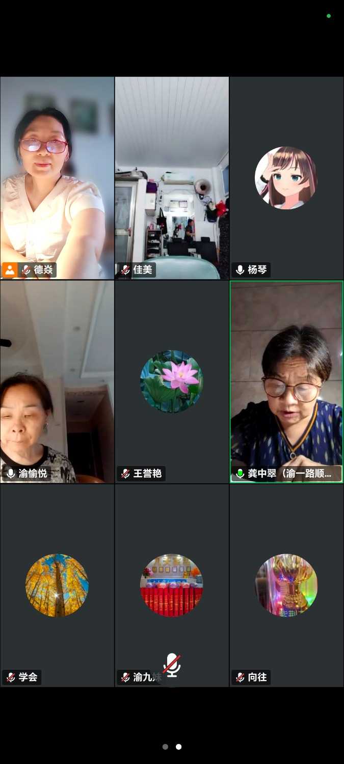 Screenshot_20250624_142656_com_tencent_wemeet_app_InMeetingActivity.jpg