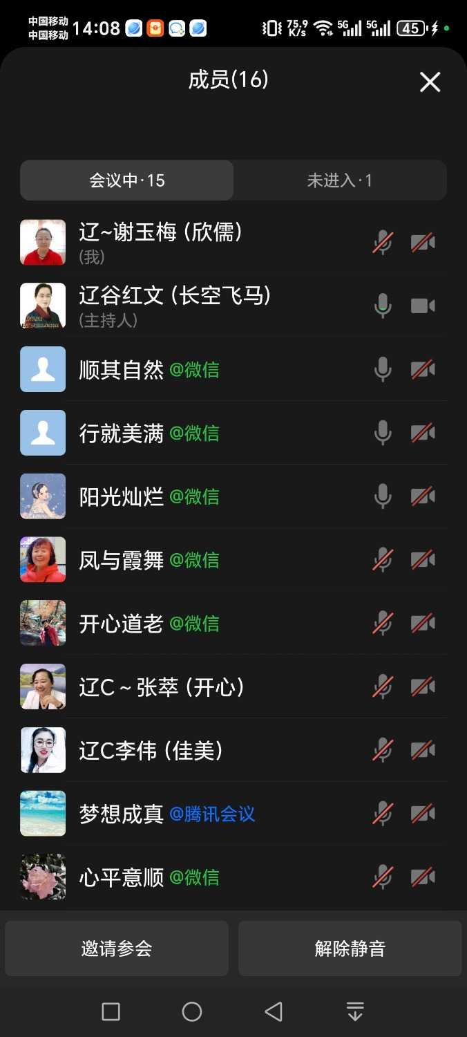 Screenshot_20250730_140853_com_tencent_wework_InMeetingActivity.jpg