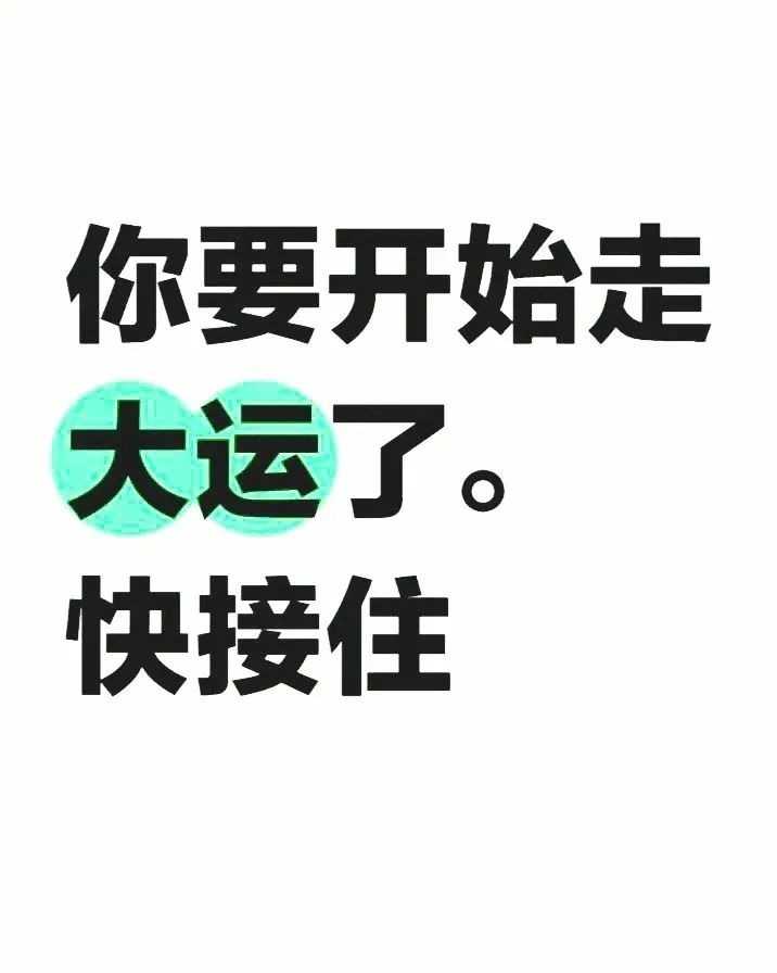 mmexport492538eaad2c672f74206db209d09686_1735890418550.jpeg