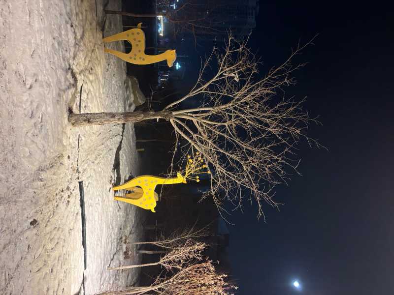 IMG_0727.jpeg