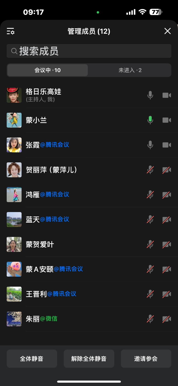 IMG_0335.png