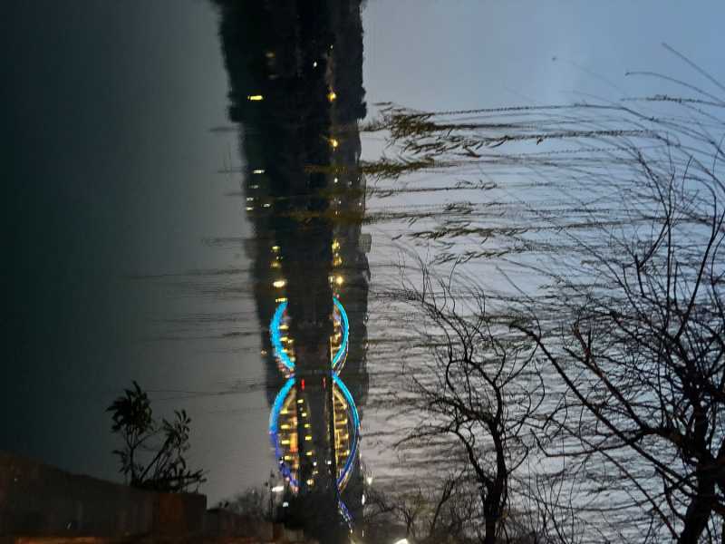 IMG_1940.jpeg