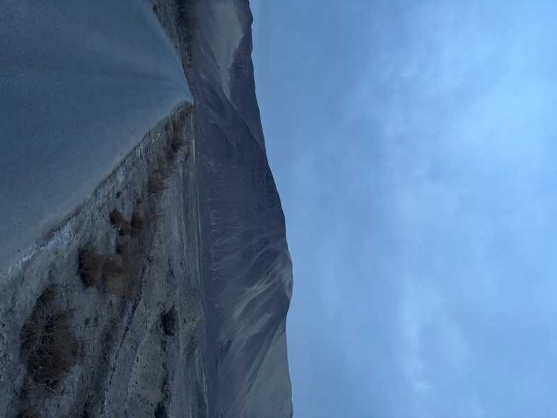 IMG_2264.jpeg