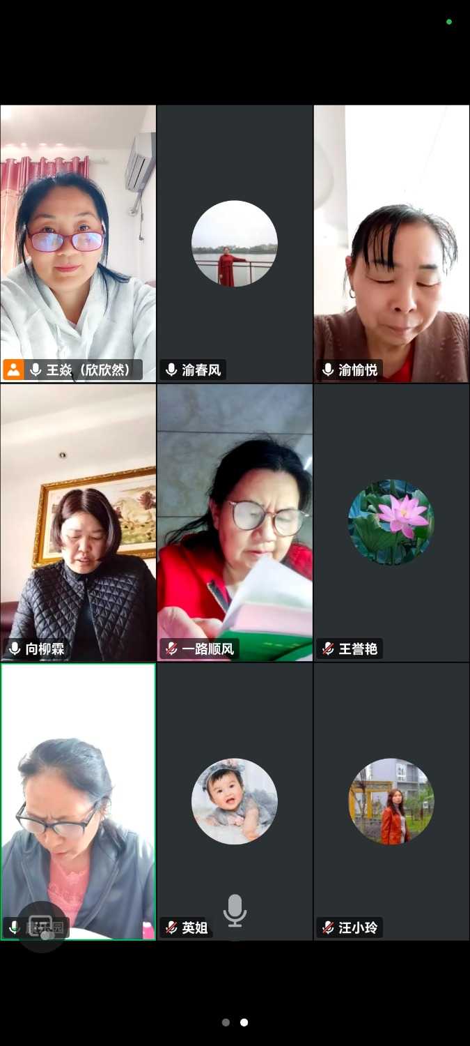 Screenshot_20250326_134645_com_tencent_wemeet_app_InMeetingActivity.jpg