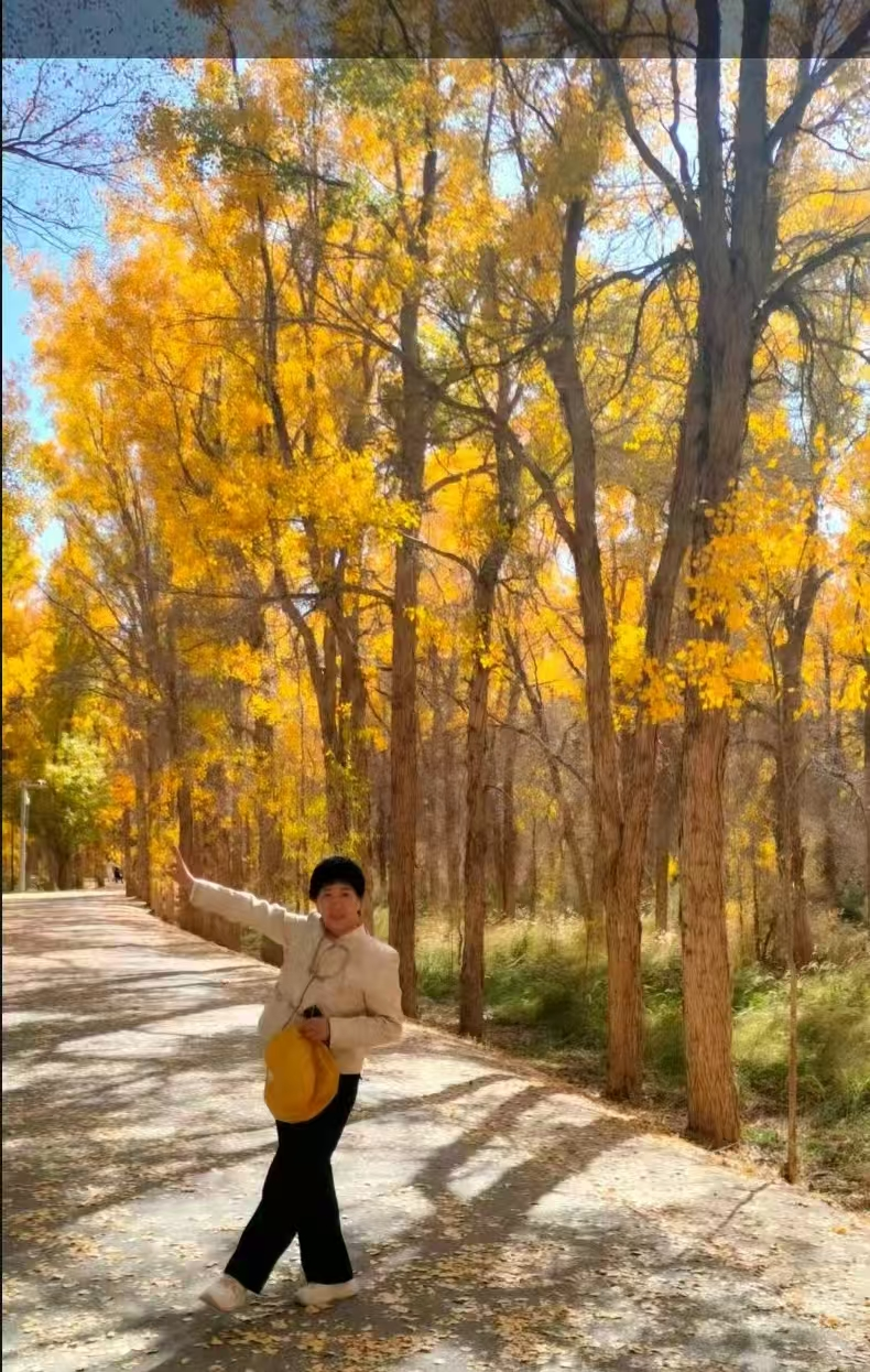 ����.png